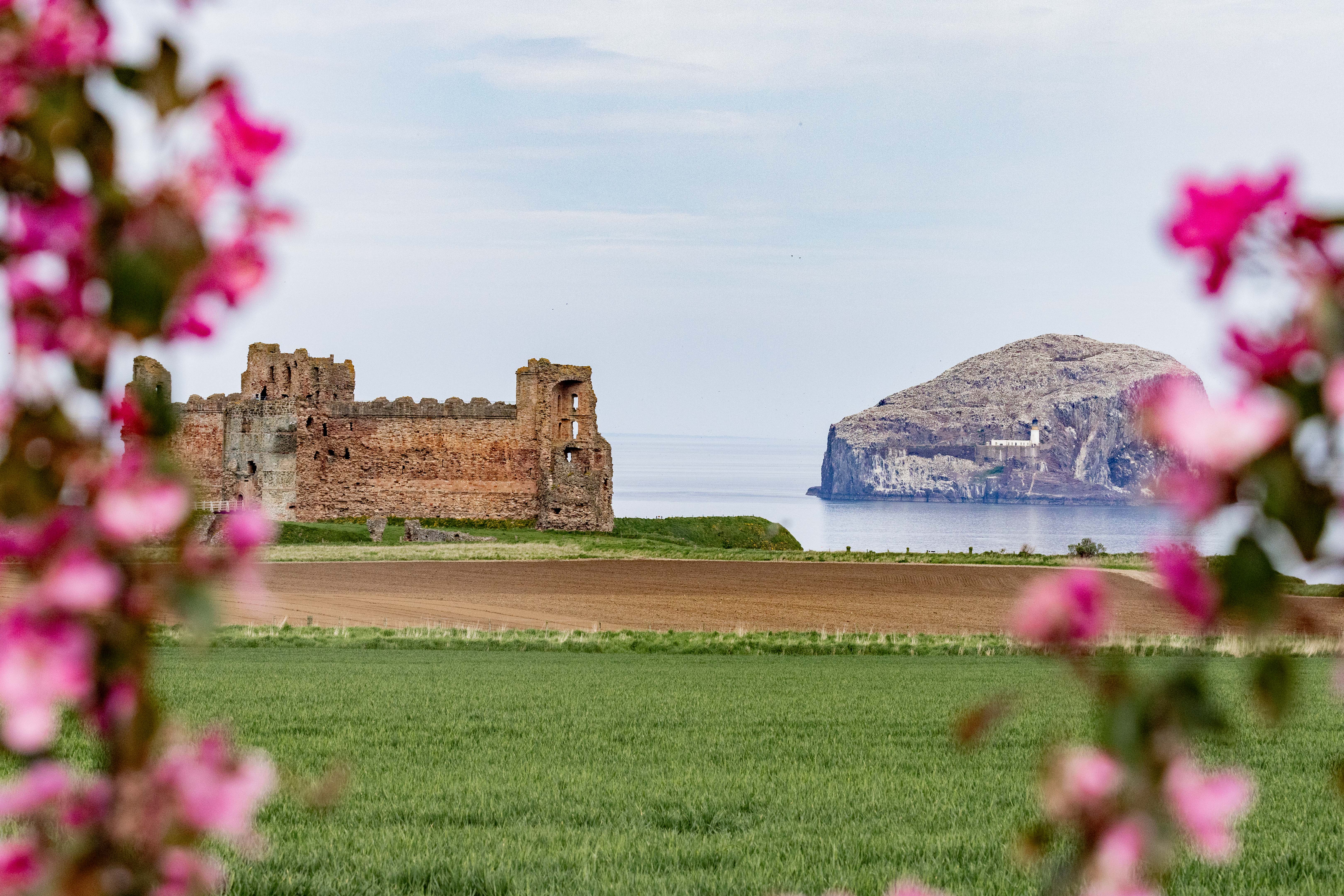 Rock & Castle Escapes